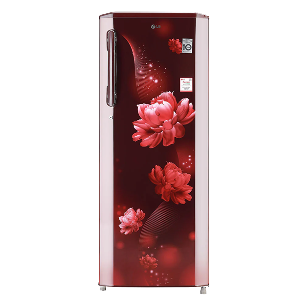 LG 270 L Single Door Refrigerator (GLB281BSCX)