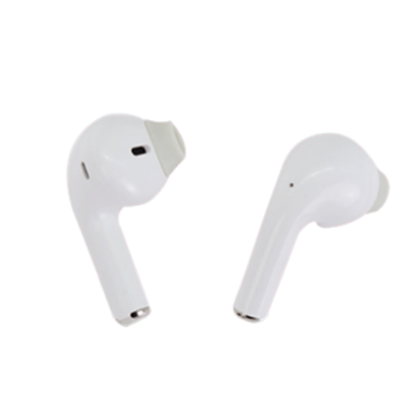 Pebble Echo Buds True Wireless Earpods (PEBWEPTWE101ECHOBUDS)