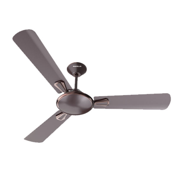 Havells Fan 48 Festiva ES All Colours (48FESTIVAES)