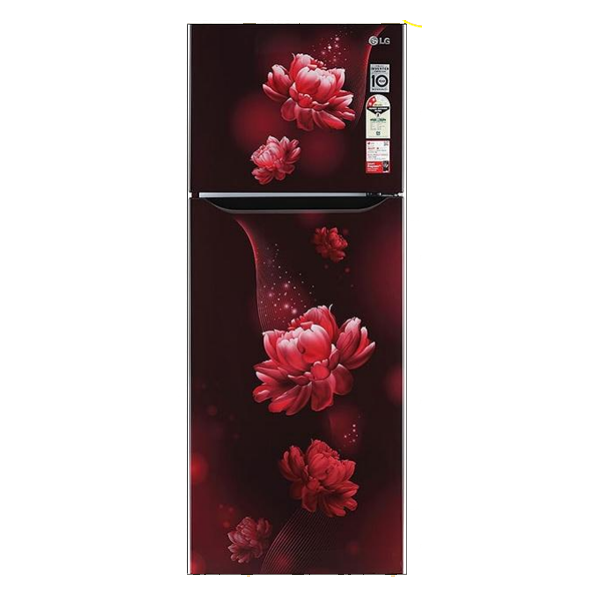 LG 242 L 2 Star Smart Inverter Frost-Free Double Door Refrigerator (GLN292BSEY, Scarlet Euphoria)