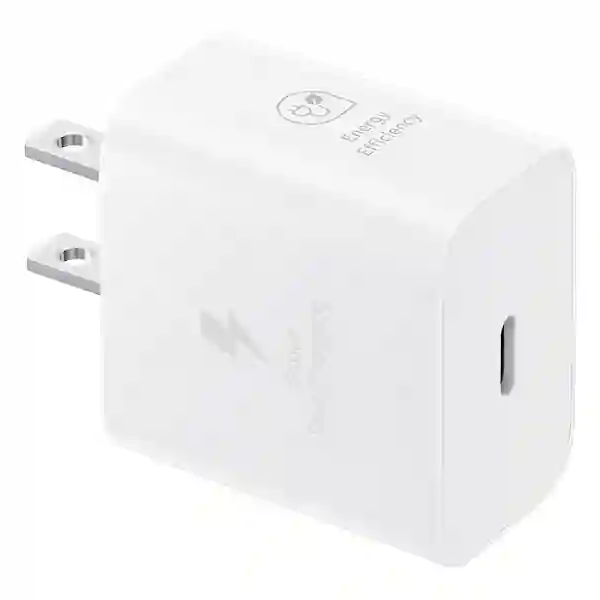 Samsung 25W Travel Adaptor without Cable (SAMEPT2510N)